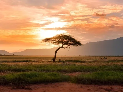 Медитация "Поле Битвы"