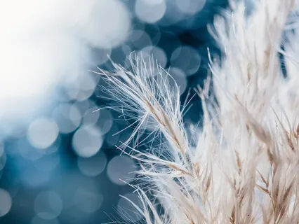 Медитация Прощения. Исцеление от Обиды и Чувства Вины