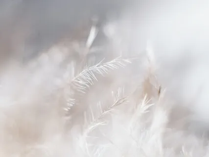 Медитация Прощения Себя