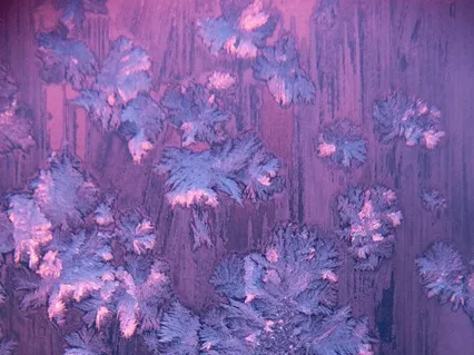 Медитация Радость