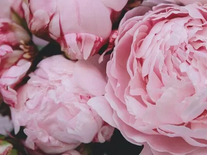 Медитация Целостности