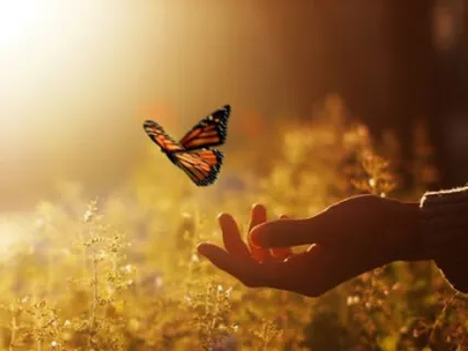 Медитация. Ценностный Образ Себя