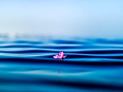 Медитация умиротворенного сознания «Поплавок»