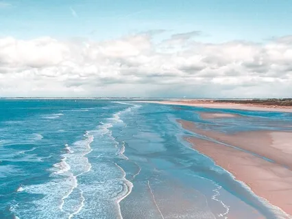 Медитация Успеха: Элетерия Морского Берега