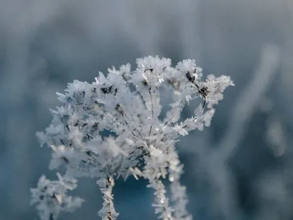 Медитация Уверенности и Спокойствия
