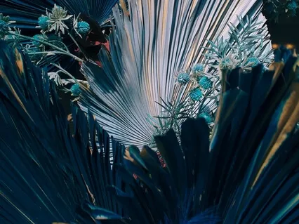 Медитация Уверенности 