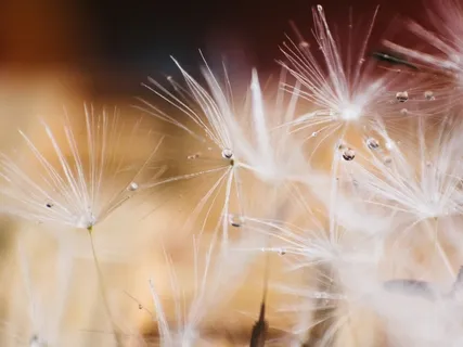 Медитация В Живом Потоке Света И Любви