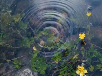 Медитация Великий Покой