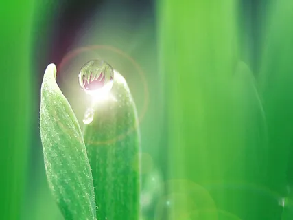 Медитация: Визуализация Желаний