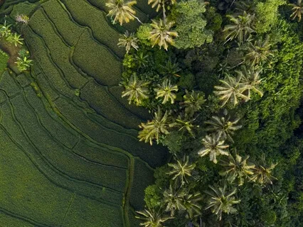 Медитация - Внутренний Учитель