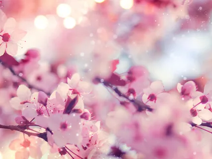 Восстановление Энергии