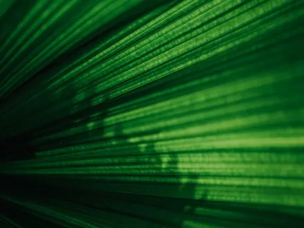 Медитация Возвращения Вкуса к Жизни