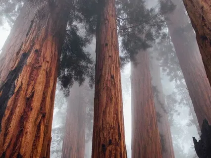 Медитация Заземление