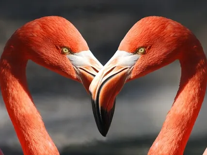 Метафора. Костыль для любимого