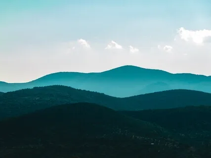 Метта: Базовая Доброжелательность К Телу И Уму