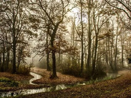 Migraine And Pain Relief: The Breath As Haven