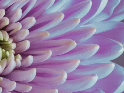 Migraine Healing Meditation