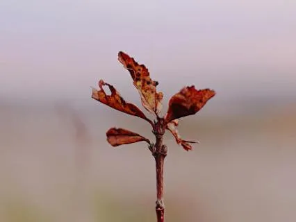 Milestone Birthdays And The Grief Nobody Talks About