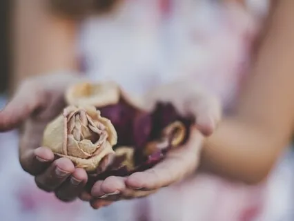 Absorbing The Healing Mindset (Part 7 Of 7)