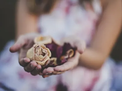 Understanding Illness & Its Connection To Body, Mind & Spirit (Part 1 Of 7)