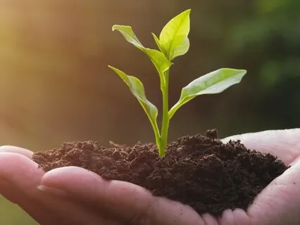 Millionaire Manifestation Meditation