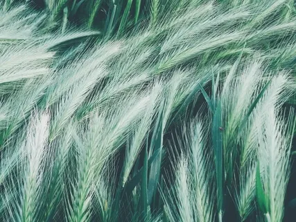 Increase Health, Wealth, & Abundance In Life