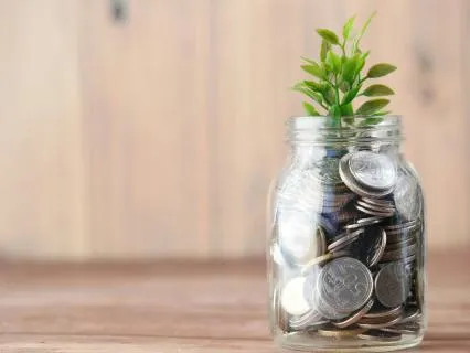 Millionaire Mindset Feminine Affirmations