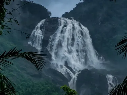 Mind And Body Rejuvenation 