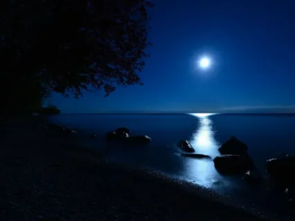 Mind & Body Sleep Music With Beautiful Ocean Waves