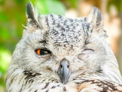 Mind-Balancing For Overstimulation And Obsessive Thoughts