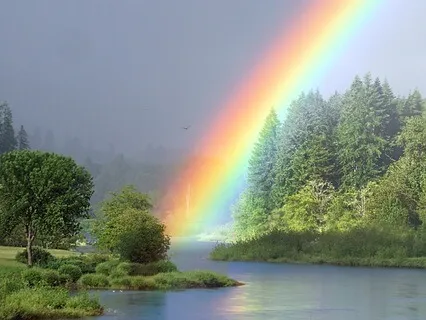 Mind Body Healing Visualization Meditation