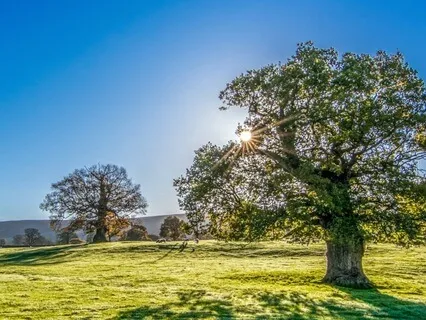 Mind-Body Vitality - Generate Inner Heat