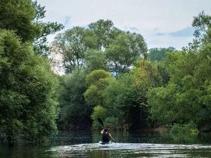 Mind Calming Ambience 1: Bliss