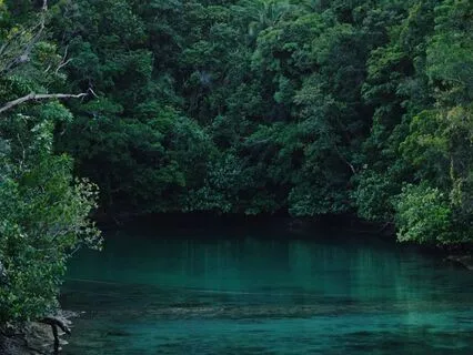 Mind Calming Ambience 10: Compassion