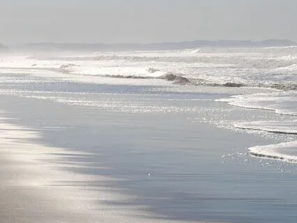 Mind Calming Ambience 2: Peace