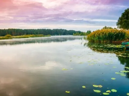 Mind Calming Ambience 6: Empathy