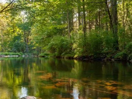 Mind Calming Ambience 7: Clarity