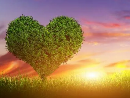 Mind Clearing Heartbeat Meditation