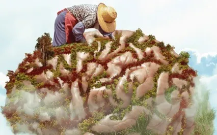 Mind Garden | Financial Freedom Seeds