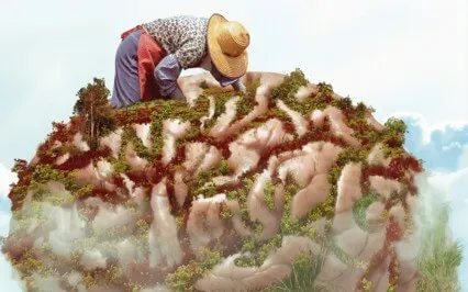 Mind Garden | Profitable Trader Seeds