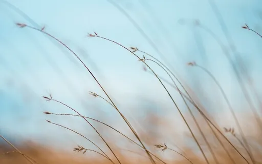 Mind Is Movement (What Is Now? Podcast)