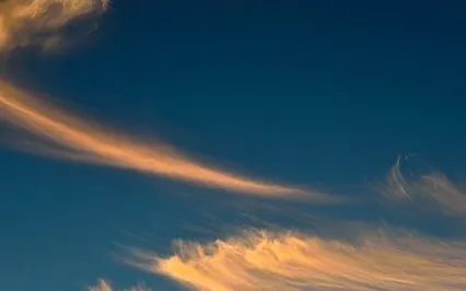 Mind Over Matter And Time