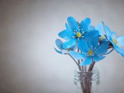 Mind Space Witnessing For Inner Peace