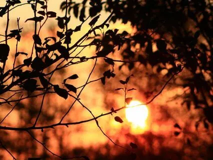 Mind Transforming Music: Unlock Your Full Potential