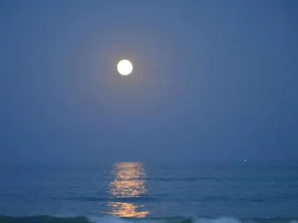 Mind Won't Shut Off? A Calming Bedtime Story For Sleep