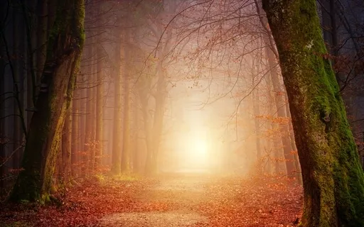 Mind Your Own Business