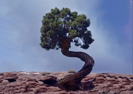 Minderful: Cringe & Grow