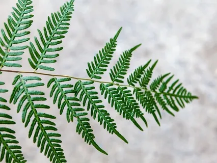 Minderful: Imperfection Is Bliss