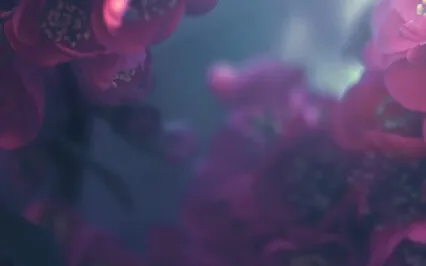 Mindful Affirmations For Healthy Weight Loss