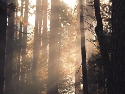 Mindful Appreciation Of Life’s Little Blessings Meditation